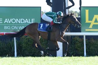 Jennifer Eccles (NZ) currently sits at the top of the NZB FOTY Series leaderboard. 